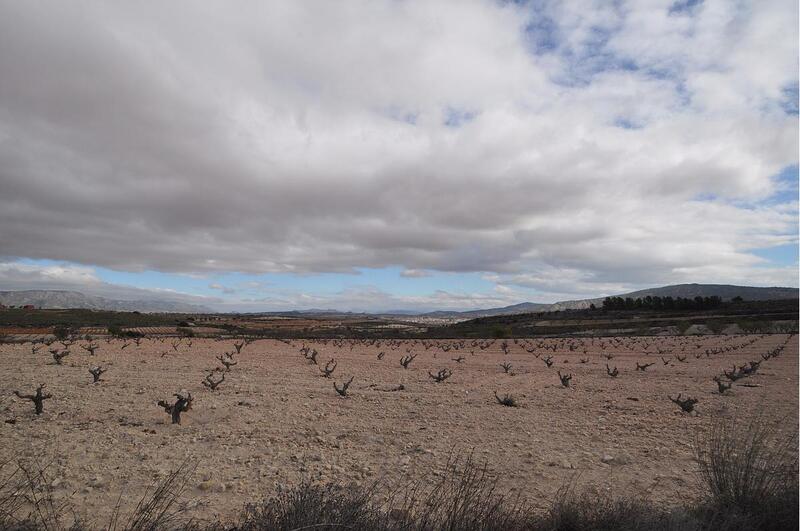 Terrenos en venta