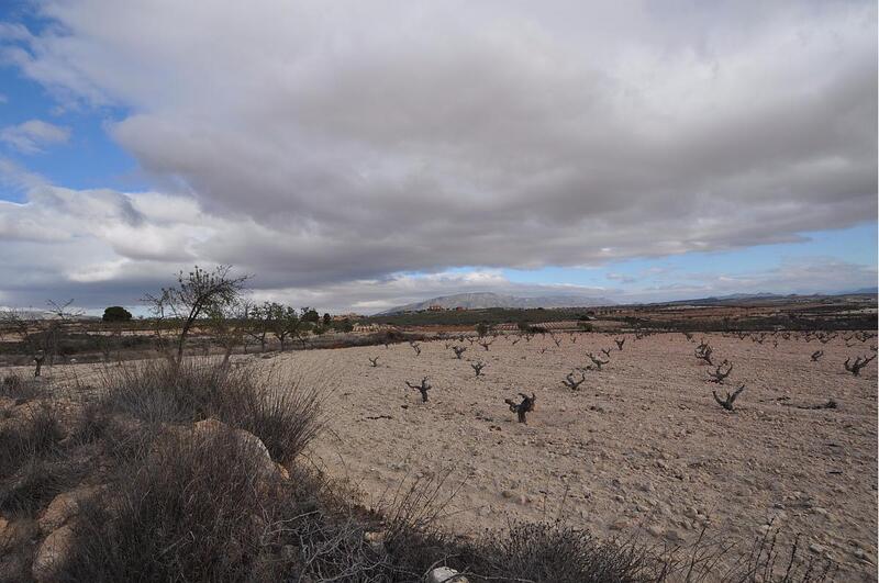 Terrenos en venta