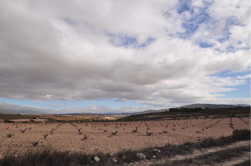 Terrenos en venta