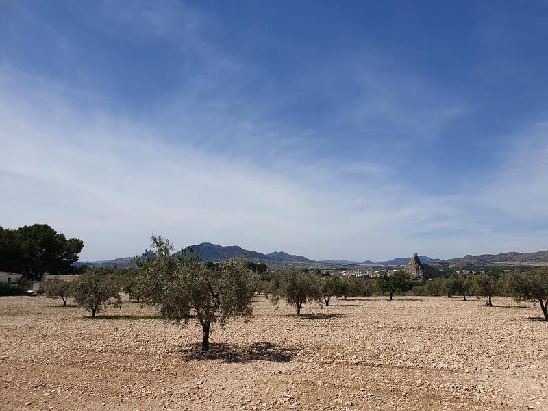 Terrenos en venta