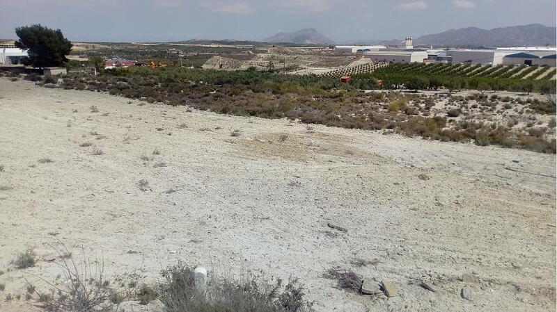 Land for sale in Fortuna, Murcia