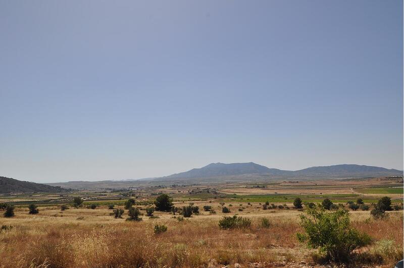 Land for sale in Pinoso, Alicante