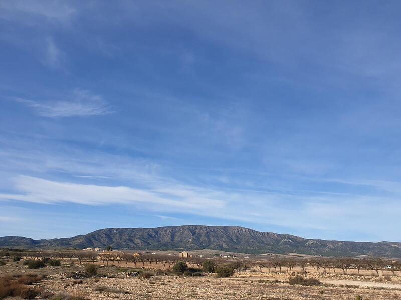 земля продается в Pinoso, Alicante