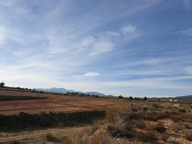 Terrain à vendre