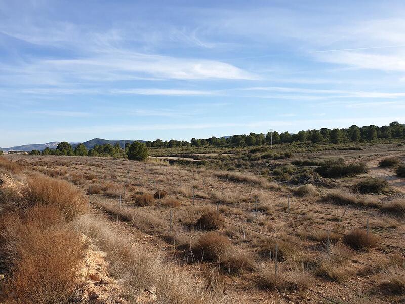 Terrain à vendre