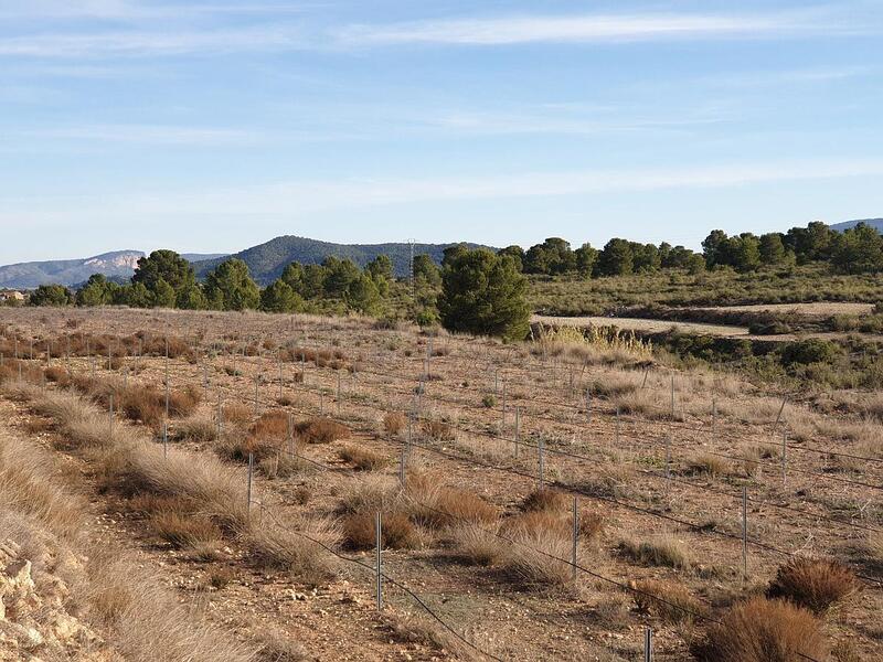 Terrenos en venta