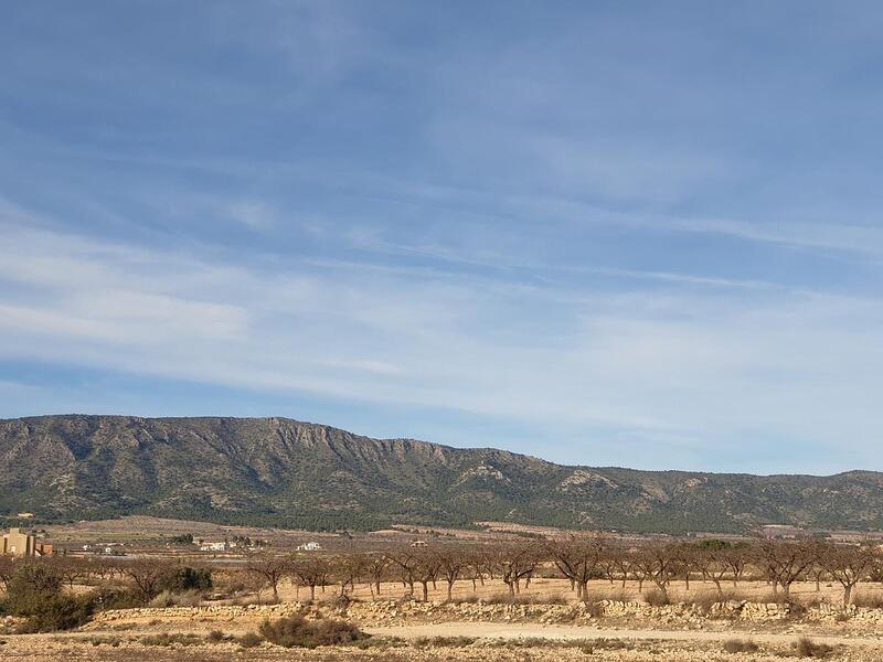 Terrain à vendre