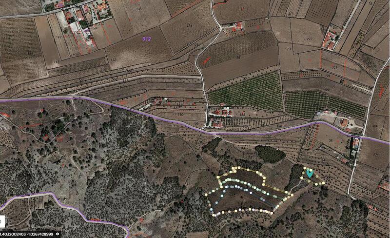 Land for sale in Pinoso, Alicante