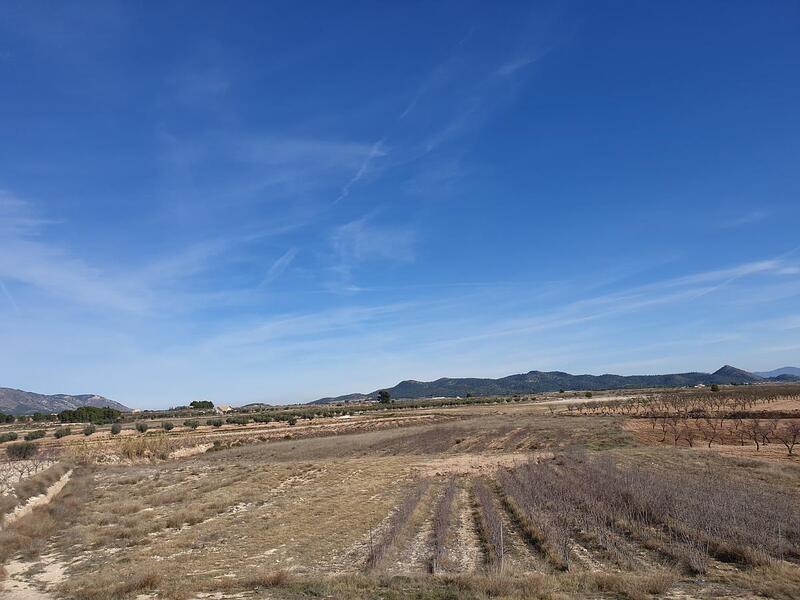 Landa till salu i Pinoso, Alicante