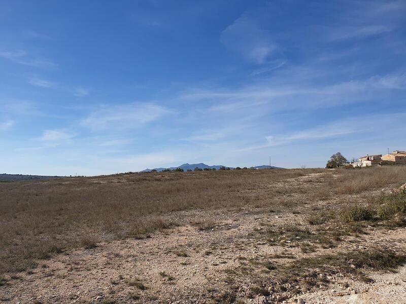 Terrenos en venta