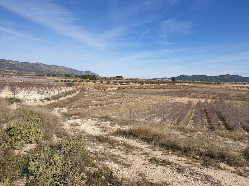 Terrenos en venta