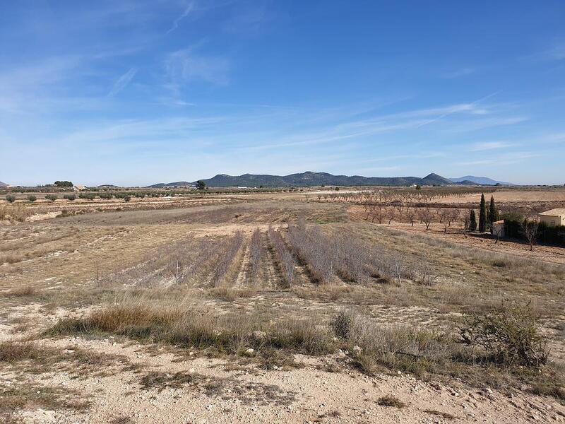 Terrenos en venta