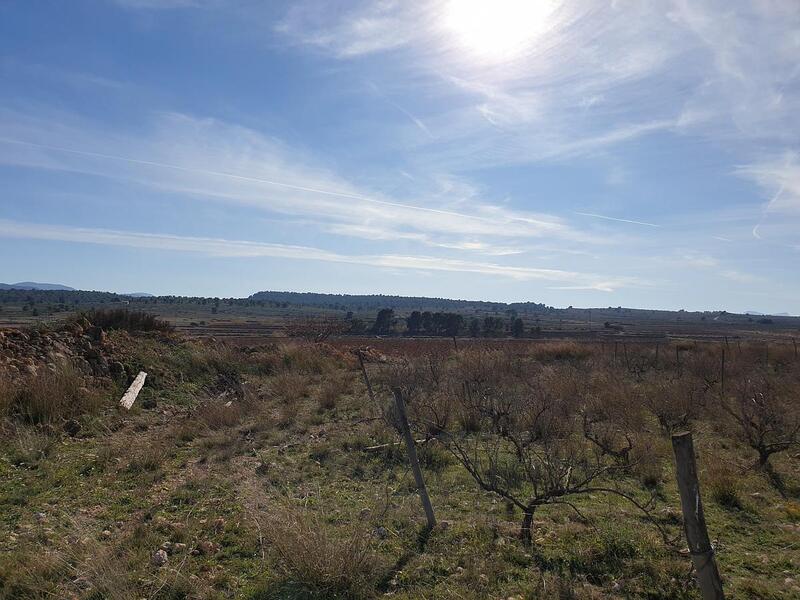 Terrenos en venta en Pinoso, Alicante