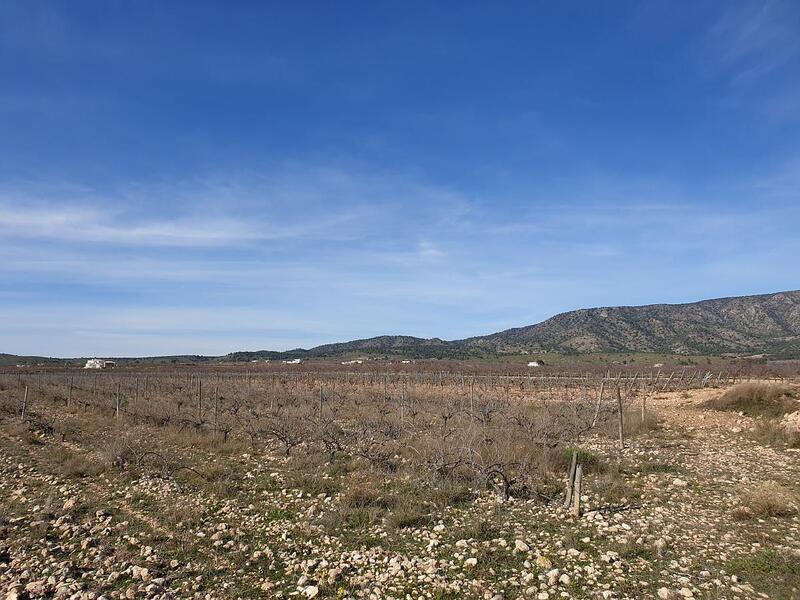 Terrain à vendre