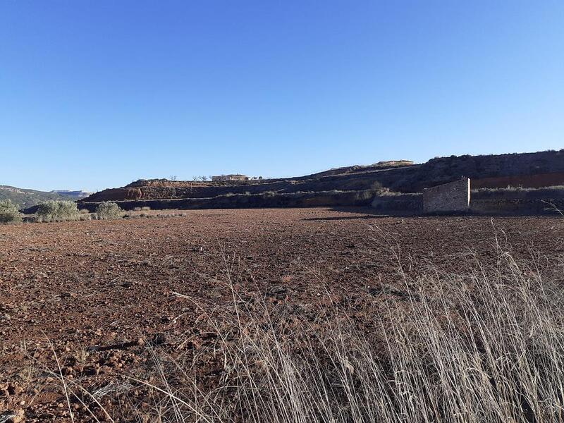 Terrenos en venta en Pinoso, Alicante