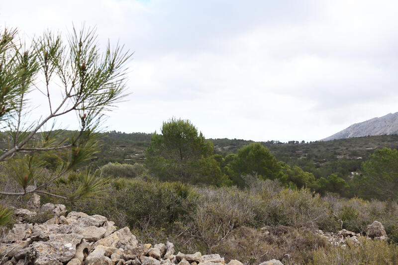 Terrain à vendre