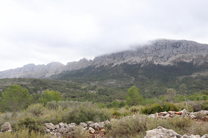 Terrenos en venta