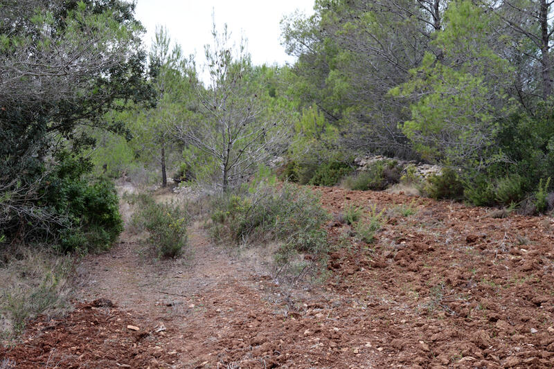 Terrain à vendre