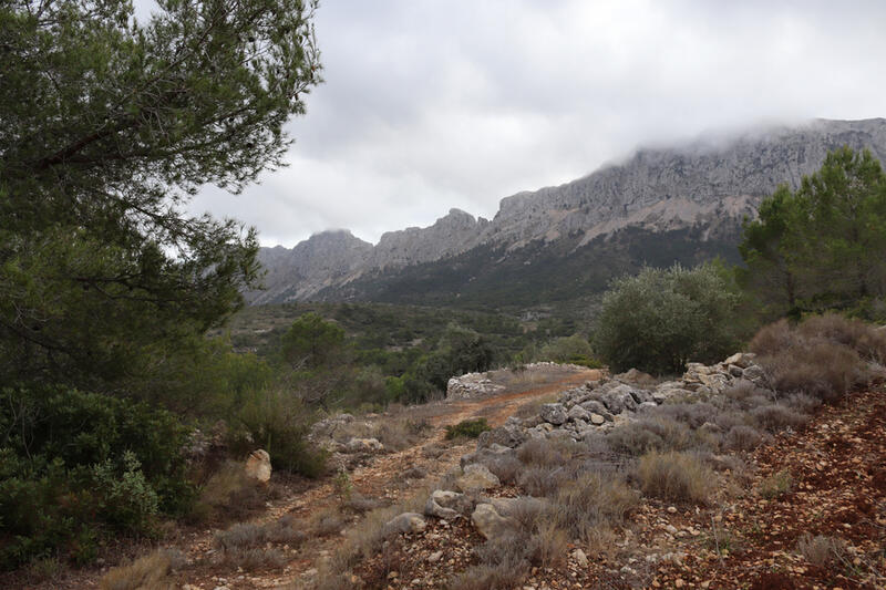 Terrain à vendre