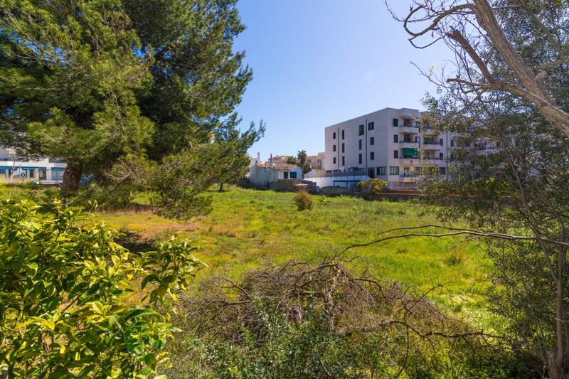 Land for sale in Capdepera, Mallorca