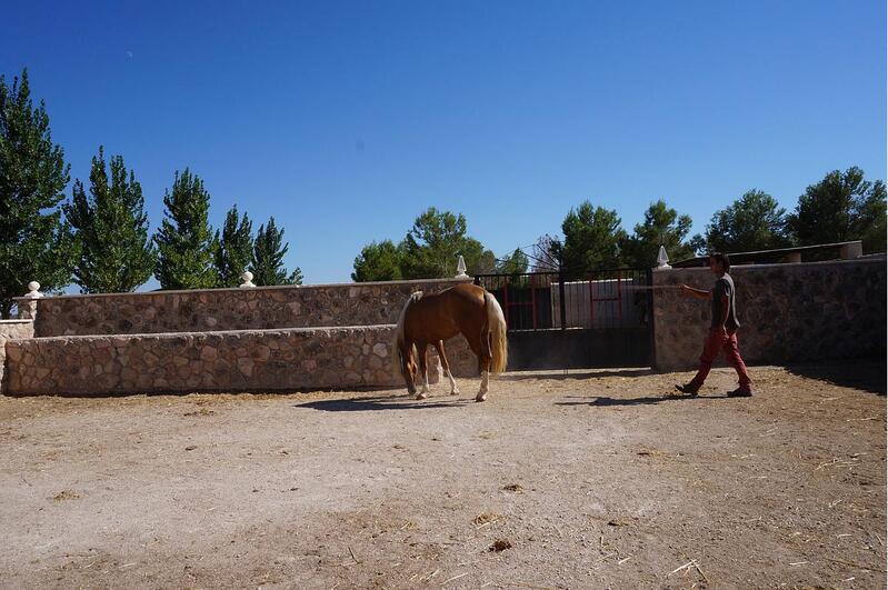 Villa en venta