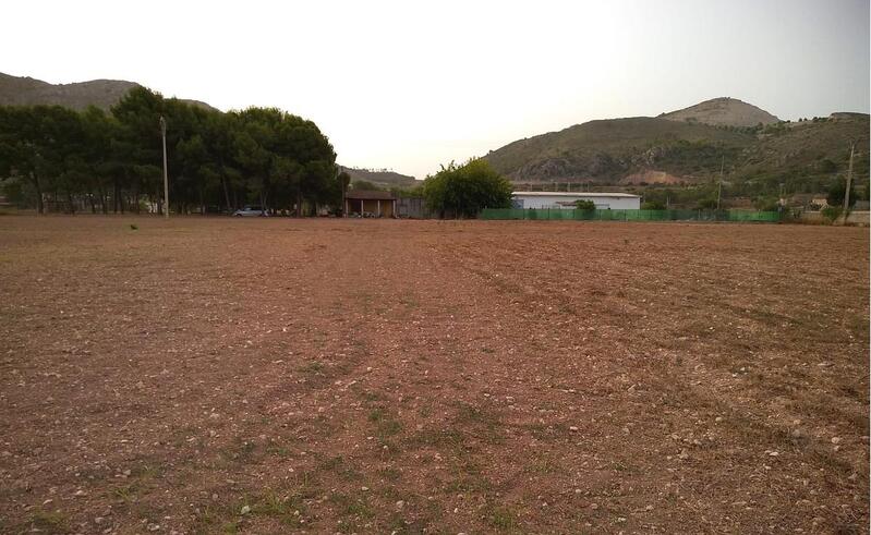 Land for sale