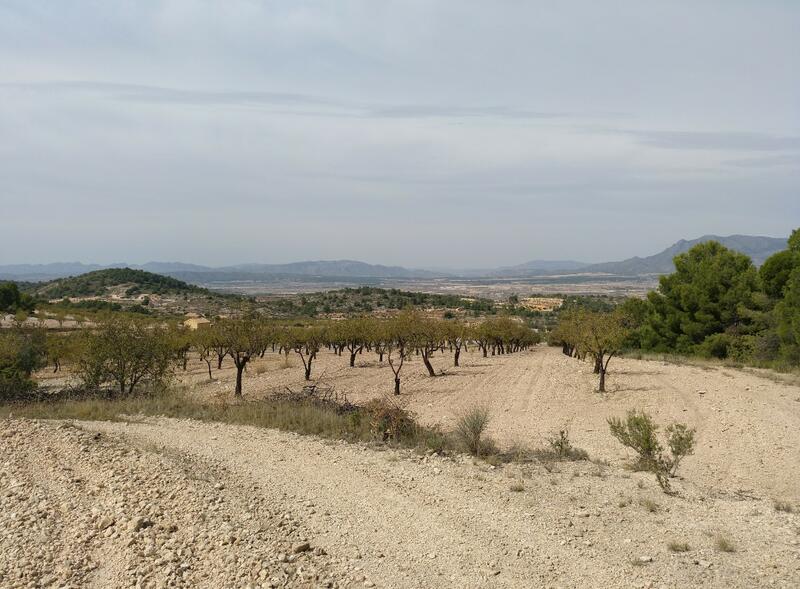 Terrain à vendre dans Abanilla, Murcia