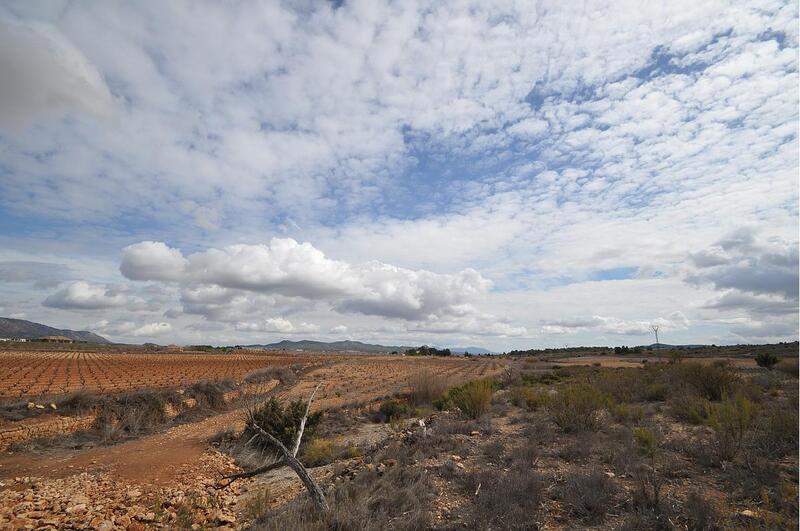 Land Te koop in Pinoso, Alicante