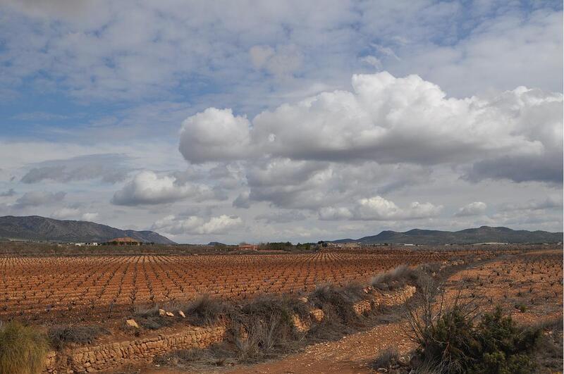 Terrenos en venta