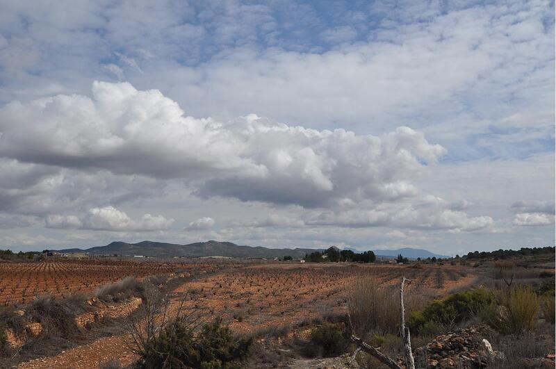 Terrenos en venta