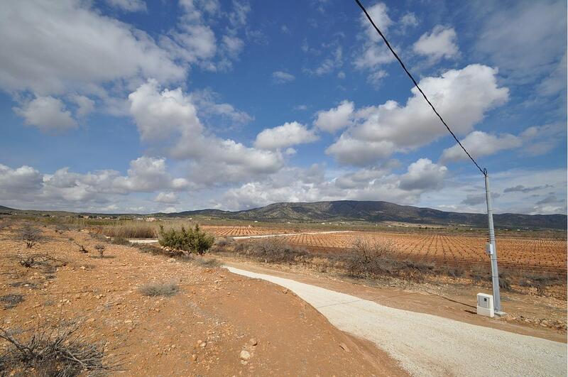 Land for sale in Pinoso, Alicante