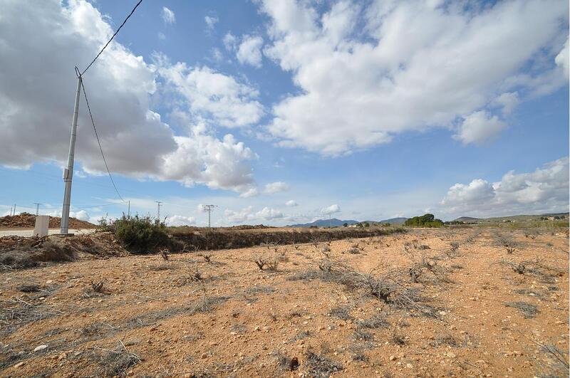 Land for sale