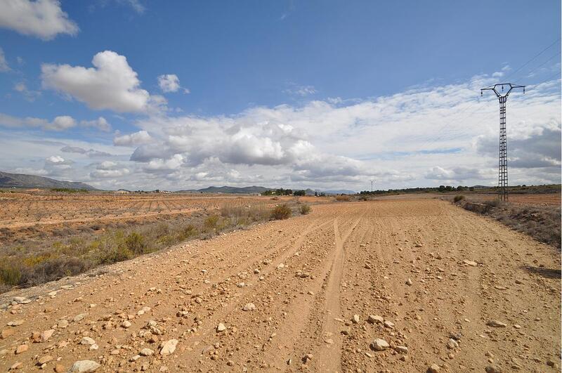 Land for sale in Pinoso, Alicante