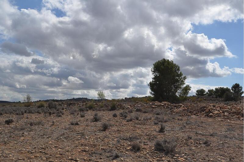 Terrenos en venta en Pinoso, Alicante