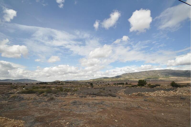 Terrenos en venta en Pinoso, Alicante