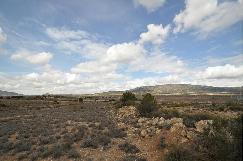 Land for sale in Pinoso, Alicante