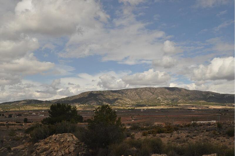 Terrenos en venta