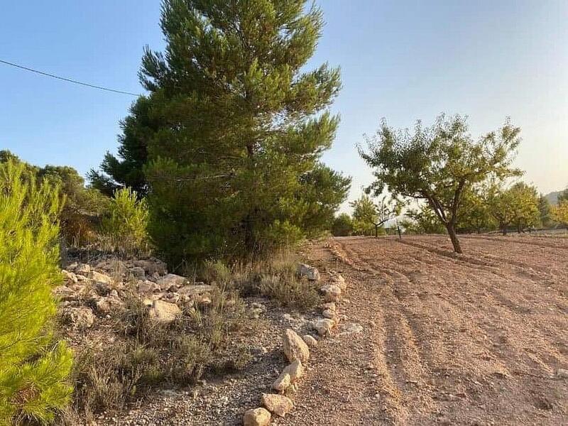 Land for sale