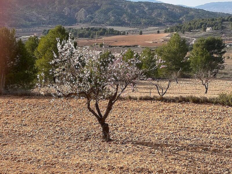 Terrenos en venta