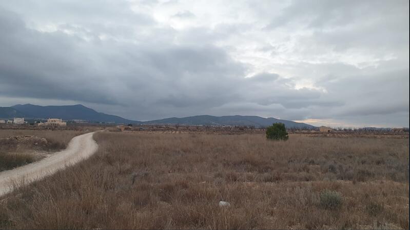 Terrain à vendre