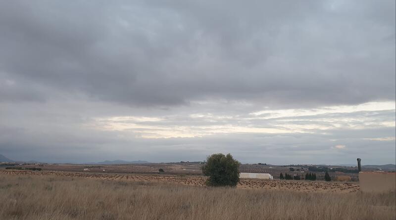 Terrain à vendre