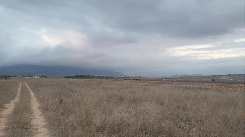 Terrain à vendre