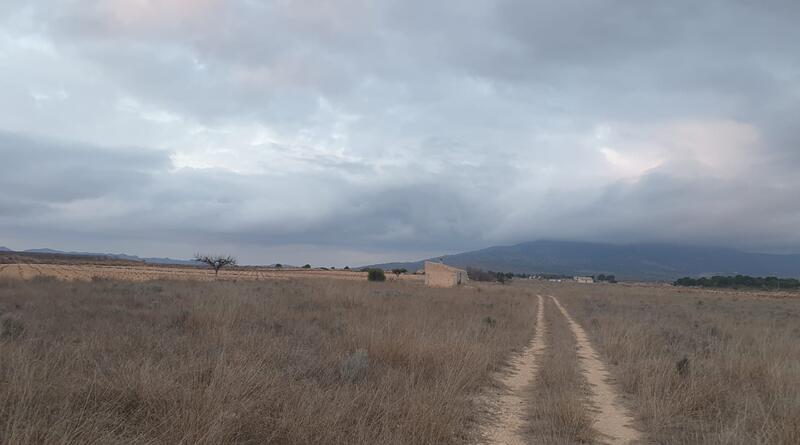 Terrenos en venta