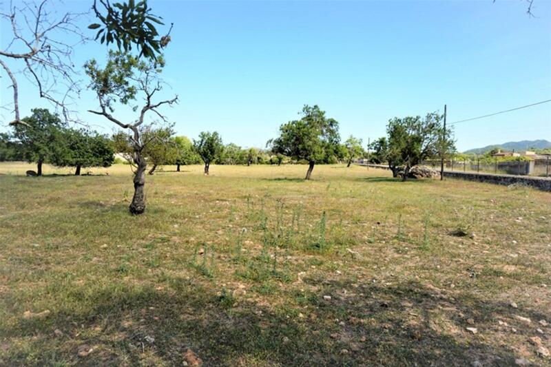 Land for sale in Arta, Mallorca