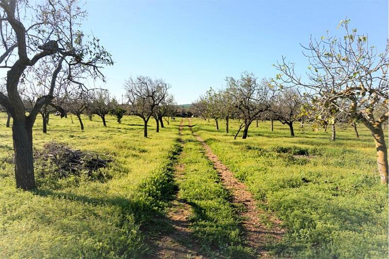 Casa de Campo en venta