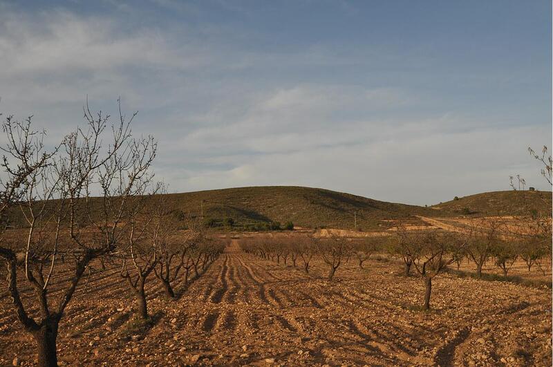 Landa till salu i Abanilla, Murcia