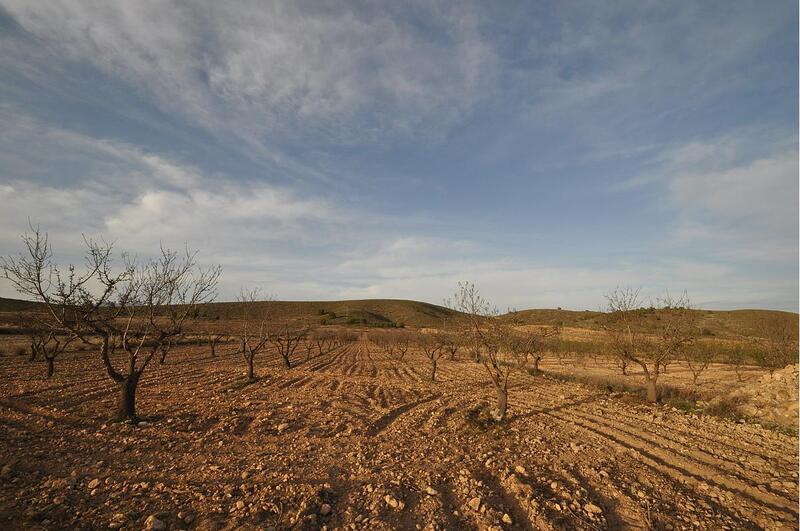 Terrenos en venta