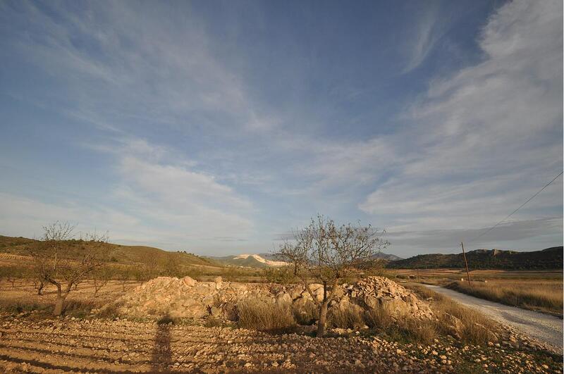 Terrain à vendre