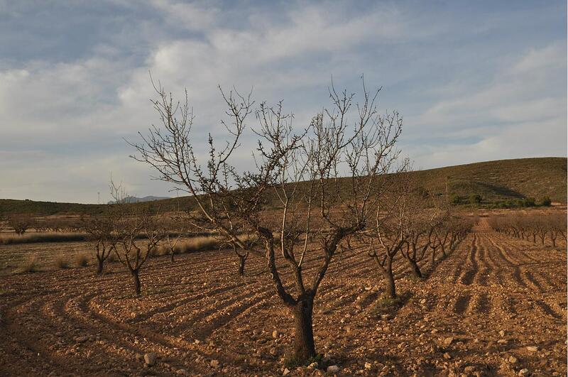 Terrenos en venta