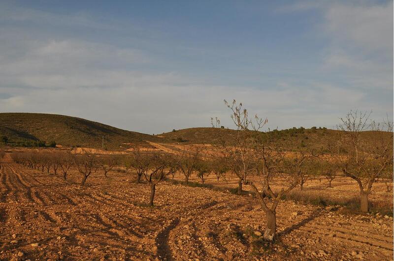 Terrenos en venta